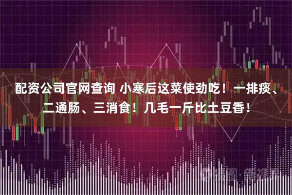 配资公司官网查询 小寒后这菜使劲吃！一排痰、二通肠、三消食！几毛一斤比土豆香！