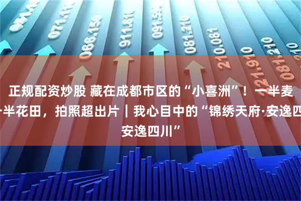 正规配资炒股 藏在成都市区的“小喜洲”!一半麦浪一半花田,拍照超出片|我心目中的“锦绣天府·安逸四川”